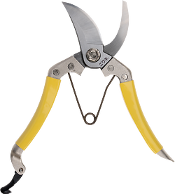 Niwaki Daikiba Secateurs