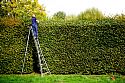 Essential for hedging contractors and tree surgeons