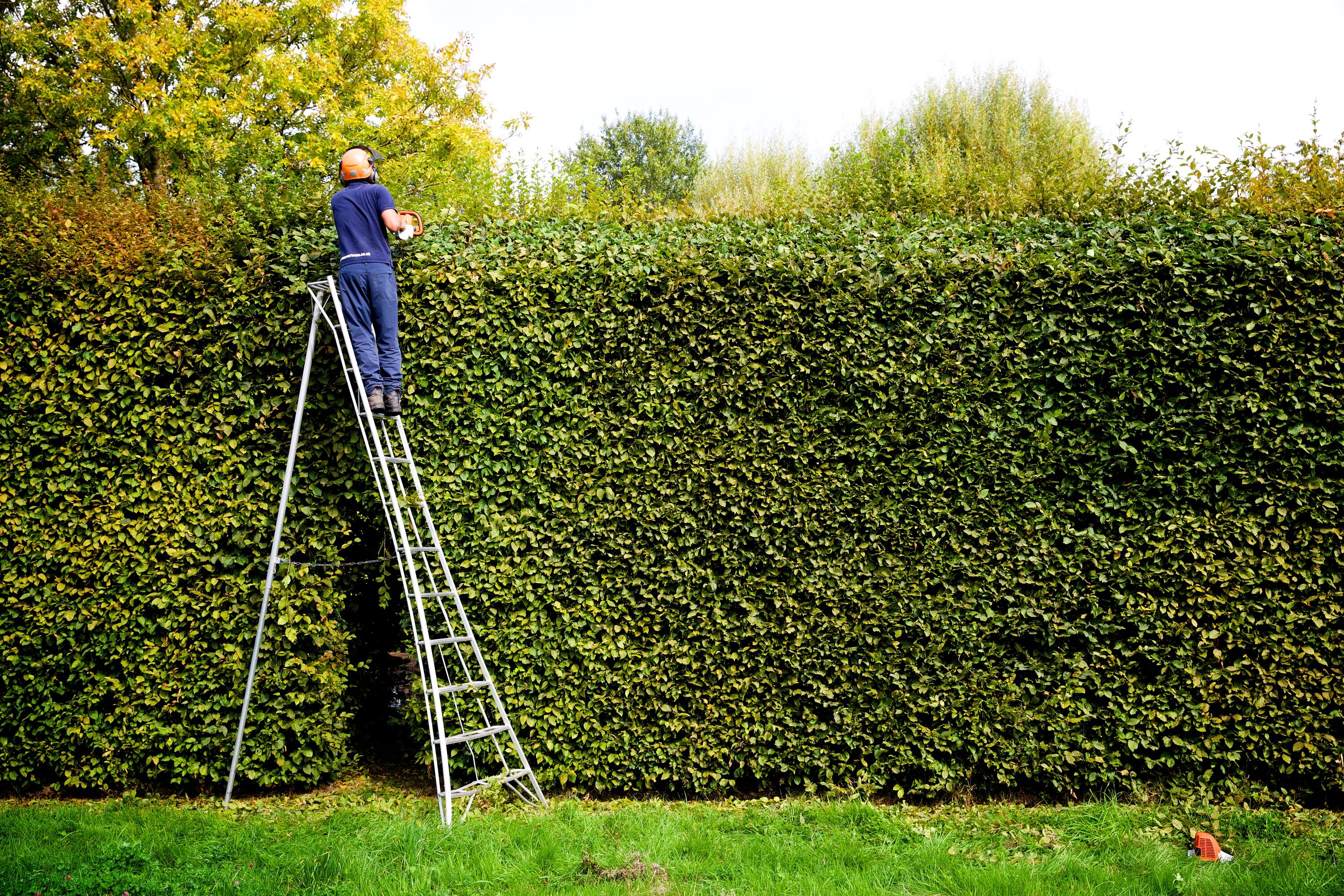 The 12' EN Pro Tripod Ladder essential for hedging contractors and tree surgeons