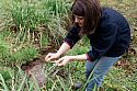 Ashleigh Aylett Woodland Trust Road to Chelsea April 2026