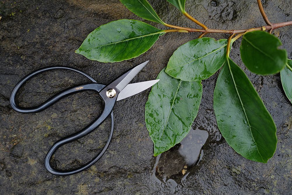 Snap Scissors Niwaki Floral Snips & Scissors