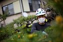 Pine Pruning At Nanshu Ji 5