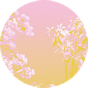Amelanchier detail
