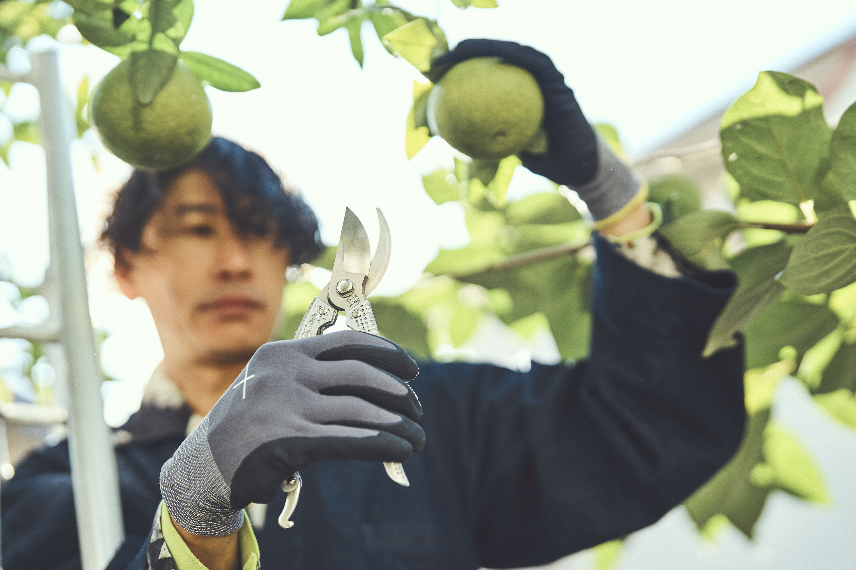 Sécateur japonais précision forgé Niwaki