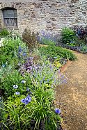 Petalon blue garden