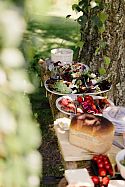 Alfresco dining beneath a shady Hornbeam tree