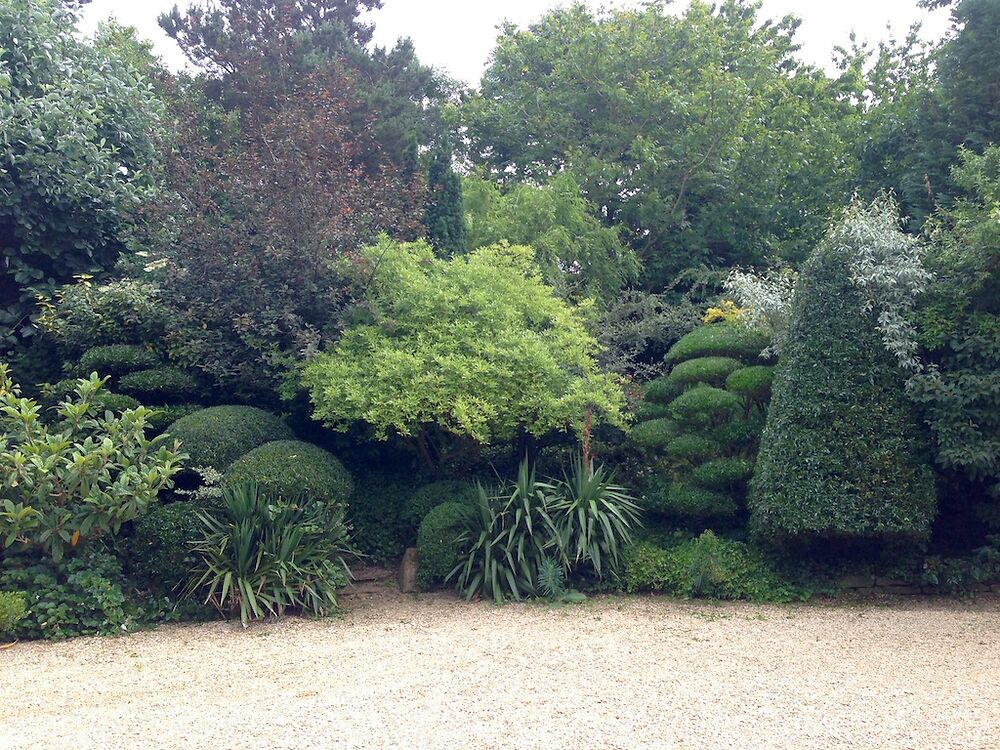 Organic Topiary