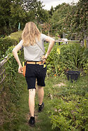 Allotment tour guide