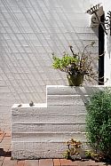 Todd Nickey’s LA garden