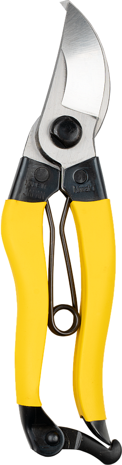 Niwaki Mainichi Secateurs • Small Right Handed