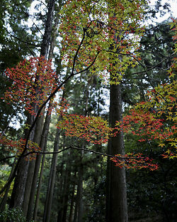 Hakuryu-en