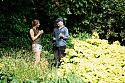 Head Gardener Åsa Gregers-Warg