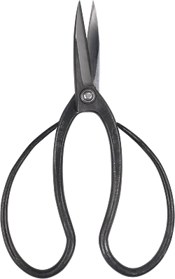 Taira Kubo Scissors