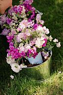 A bouquet of freshly picked flowers and a bucket of Kentish soul, thoughtfully prepared by Riki