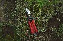 MIni Secateurs