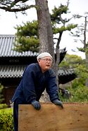 Pine Pruning At Nanshu Ji 4