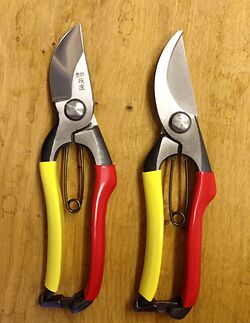 Left Handed Tobisho Pruners