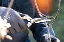 Daikiba Snips