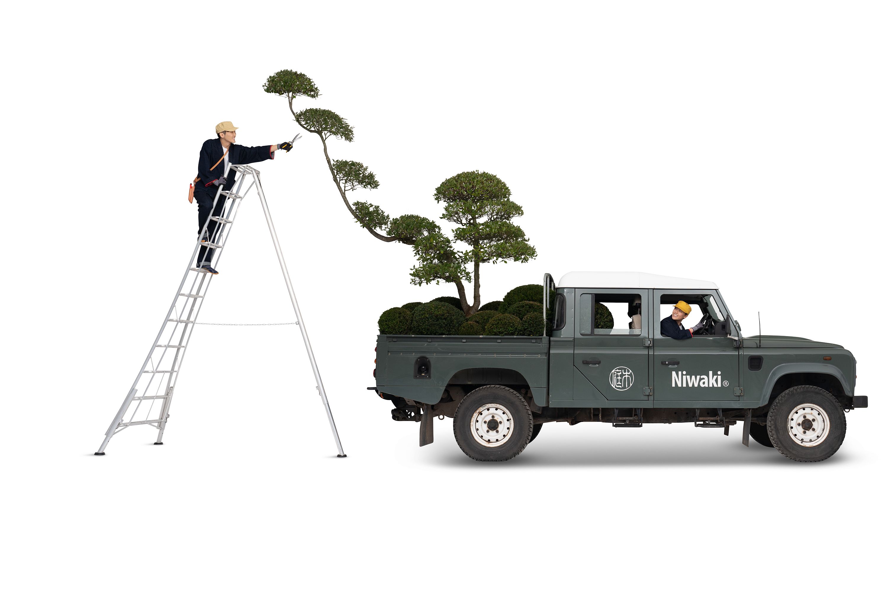 Niwaki Land Rover with Niwaki Holm Oak and Japanese Tripod Ladder