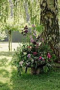 More habitat than centrepiece. Tasha’s living installation includes edible plants and a small drinking point for birds and insects