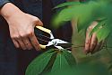 Niwaki GR Pro Lightweight Secateurs