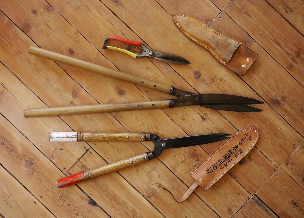 Niwaki Box Clipping Shears