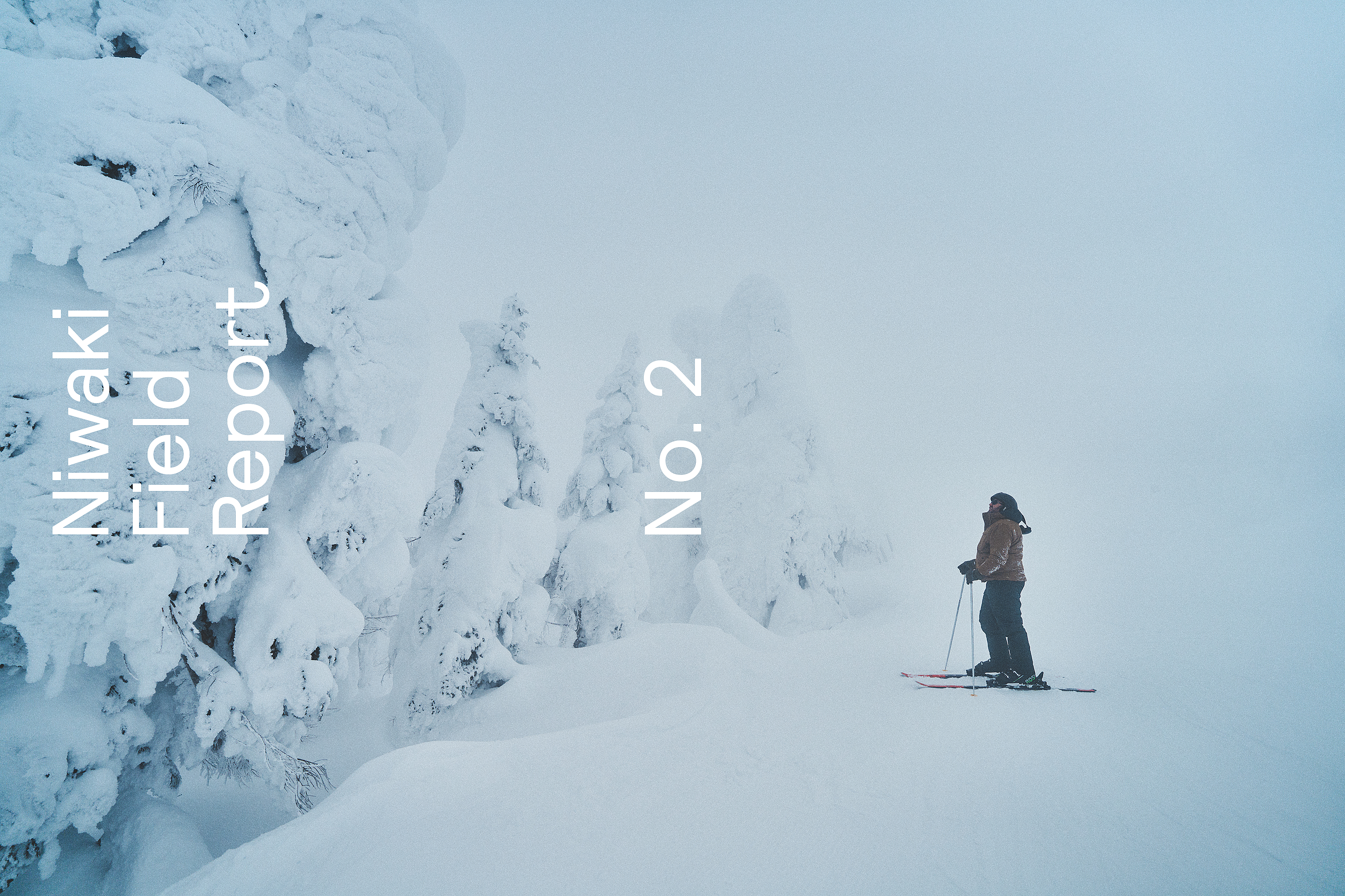 Snow Monsters