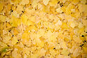 Ginkgo