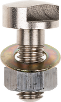 Replacement Bolt • P00564-6