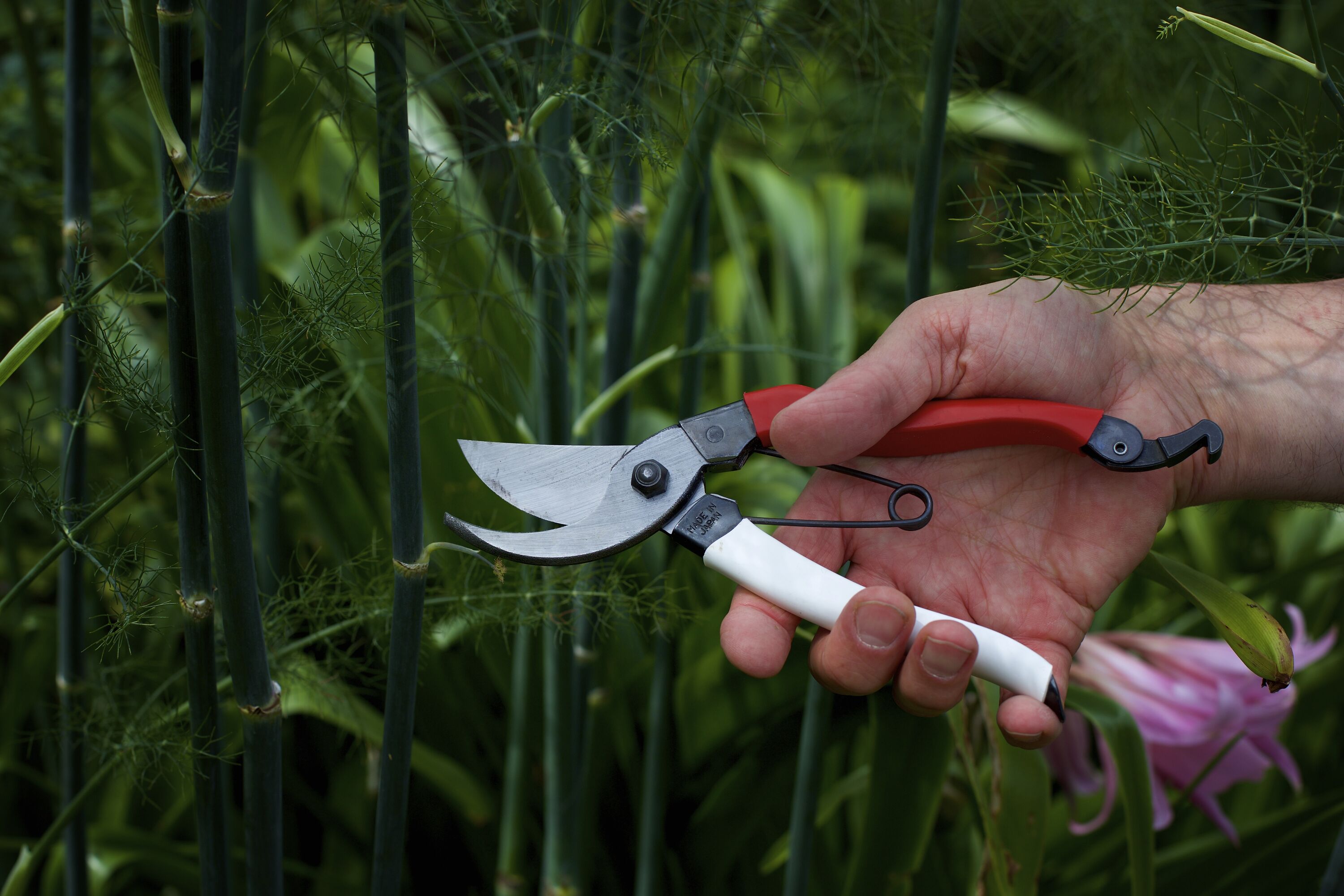 Okatsune Secateurs