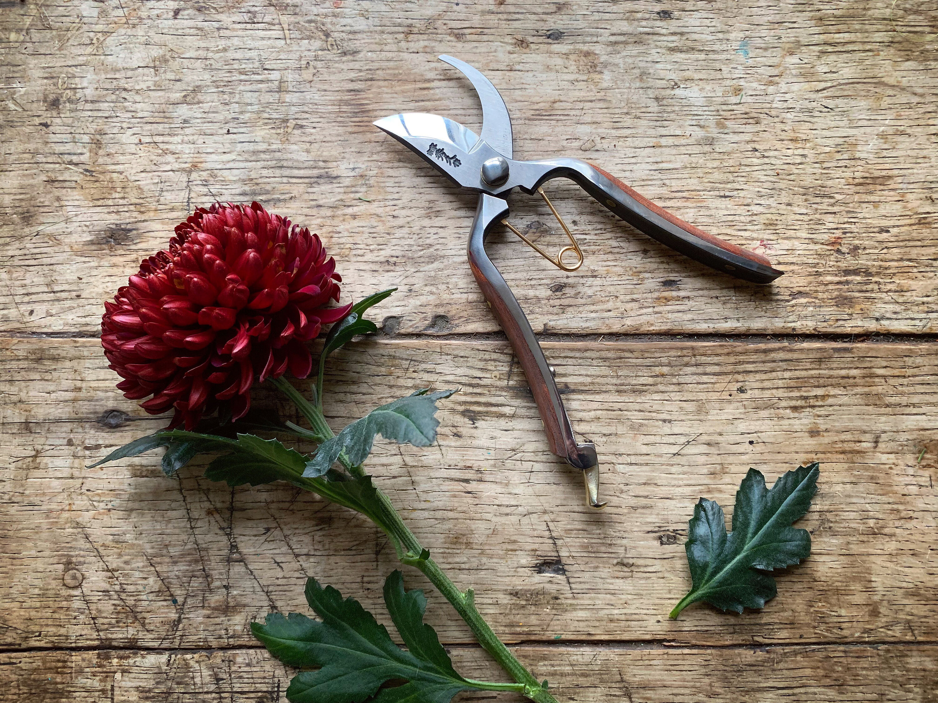 Kurumi Secateurs