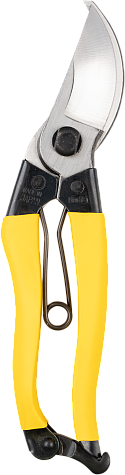 Niwaki Mainichi Secateurs • Right Handed