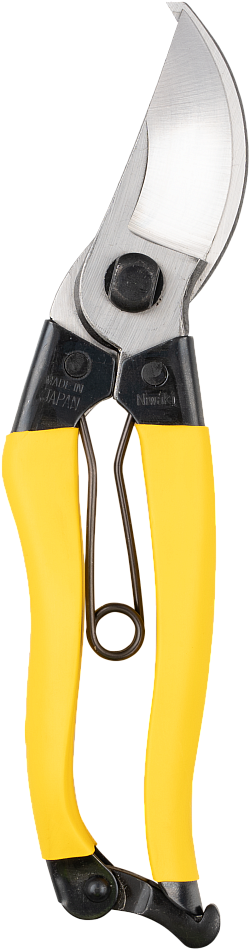 Niwaki Mainichi Secateurs • Right Handed
