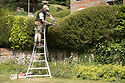 Niwaki Original Tripod Ladder