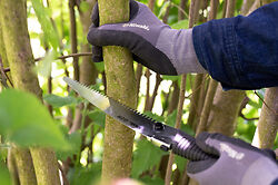 Niwaki GR 210 Folding Saw
