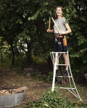 Niwaki Loppers and a 4 foot Niwaki Original Japanese Tripod Ladder