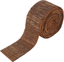 Cedar Bark Tape