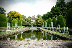 Niwaki At Mapperton Gardens