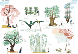 Trees In Japan, Poster