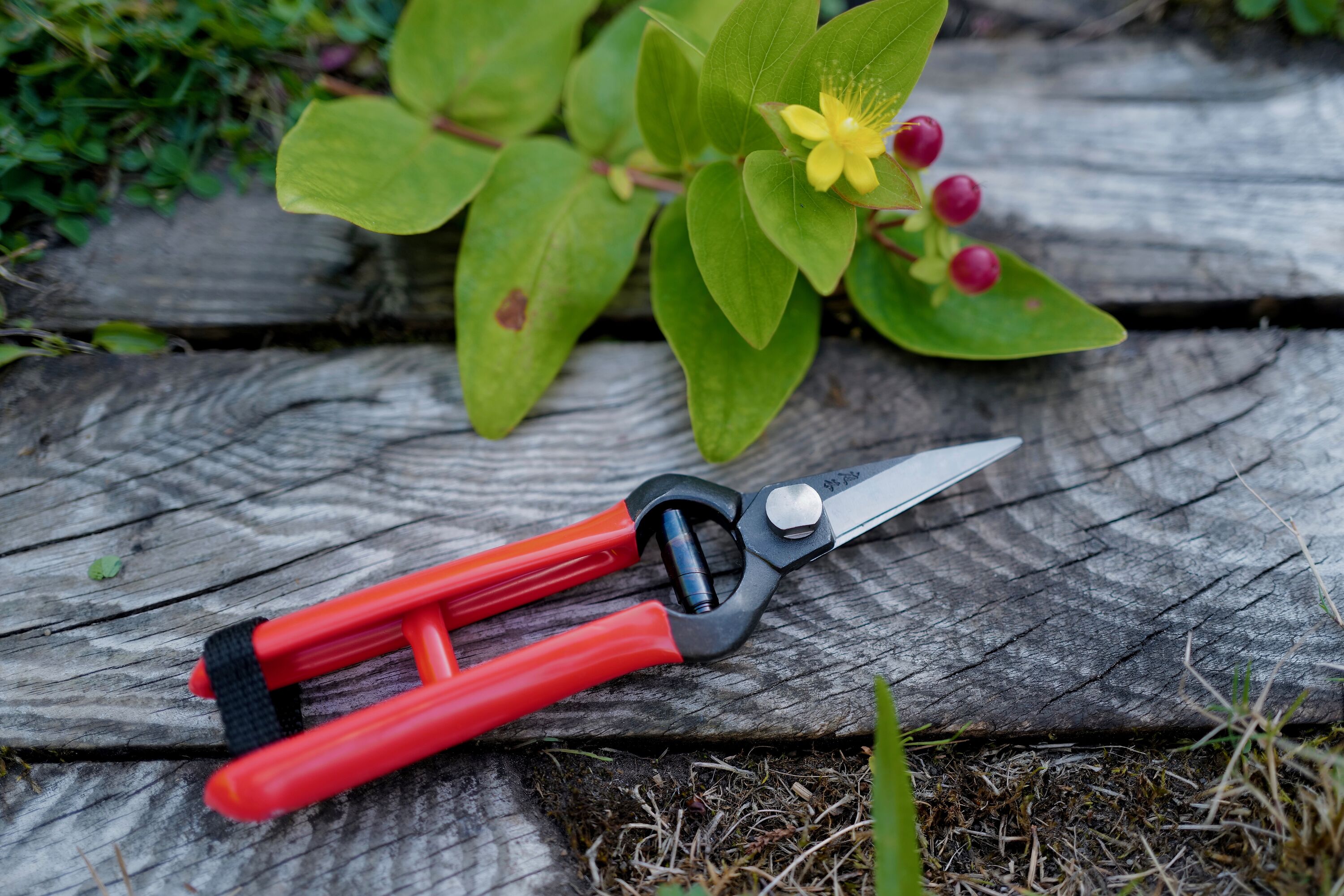 Niwaki Heavy Snips - Heavy Duty Snips