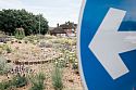 Albert roundabout, Colchester: another public planting success for Beth’s technique