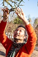 Je Ahn with Niwaki GR Pro Secateurs