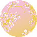 Amelanchier detail