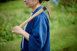 Niwaki Hoe