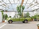 Mulhalls-Cactus Truck