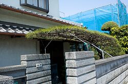 Chiyoda’s Silliest Pine 2