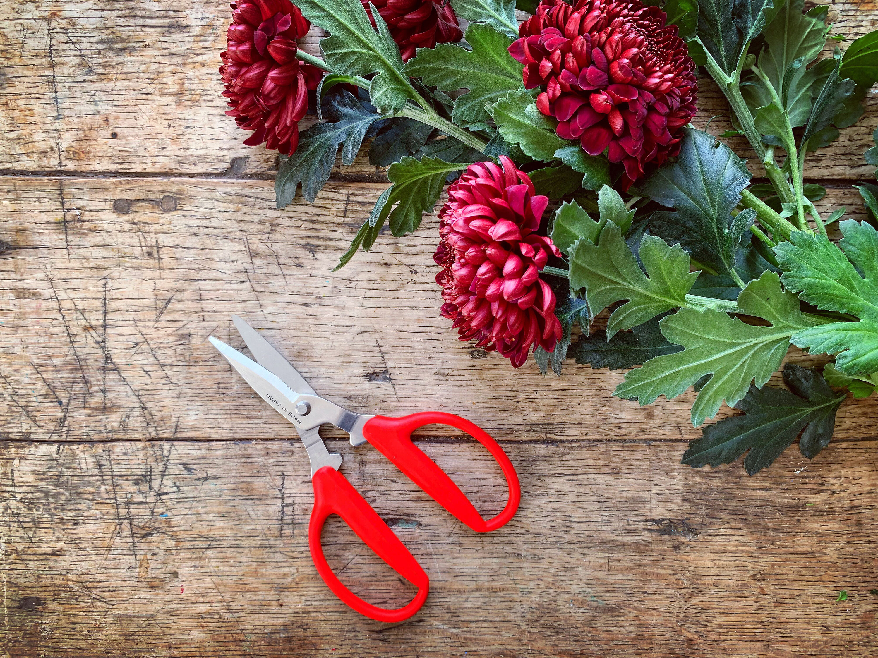 Fridge magnet Scissors - Niwaki