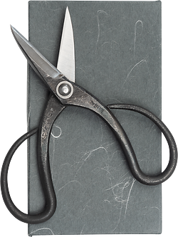 Taira Mekiri Scissors