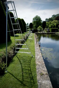 Niwaki At Mapperton Gardens