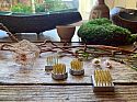 Ikebana